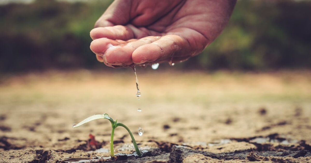 Boosting and Organic Growth in 2026: How to Combine